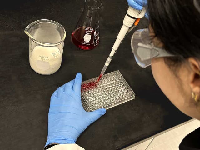 Labs